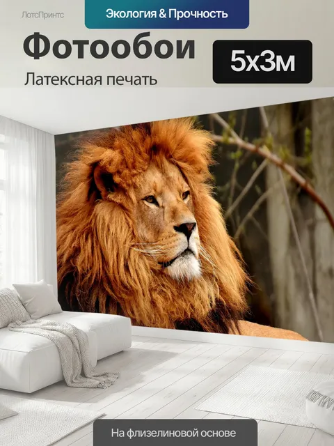 500 × 300 см · Латексная печать