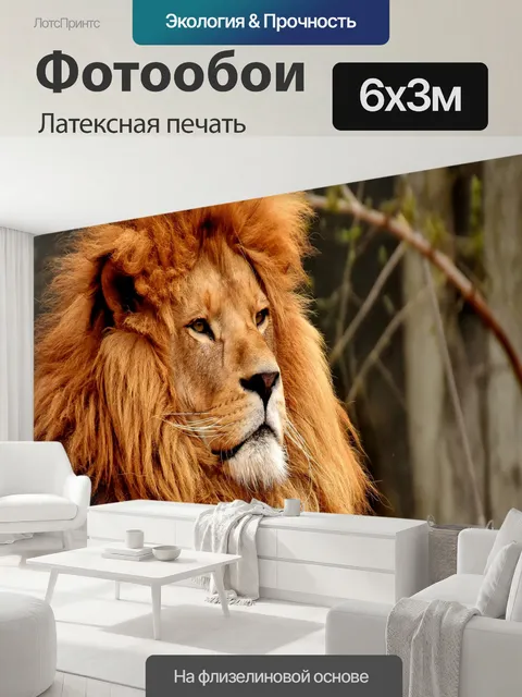 600 × 300 см · Латексная печать