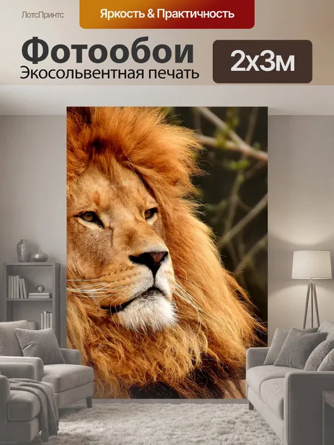 200 × 300 см · Экосольвентная печать