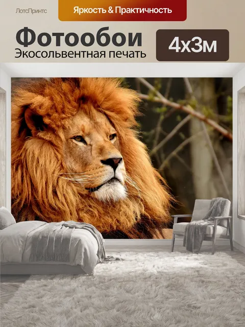 400 × 300 см · Экосольвентная печать
