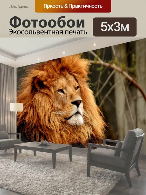500 × 300 см · Экосольвентная печать