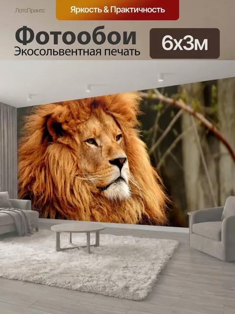 600 × 300 см · Экосольвентная печать