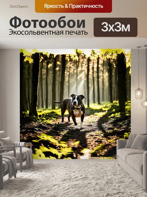 Фотообои Собака, американский стаффордширский терьер, исследует лесной пейзаж, где лучи солнечного света проникают скв…