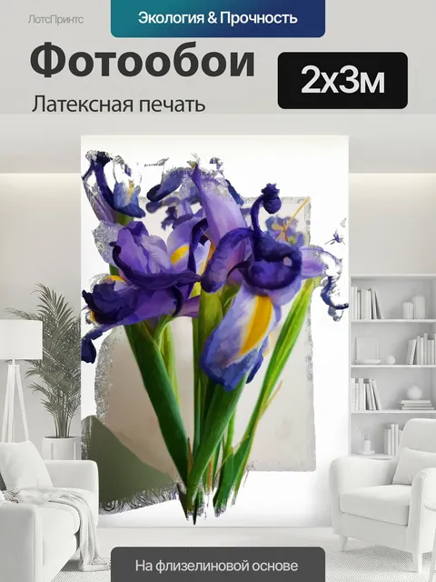 200 × 300 см · Латексная печать