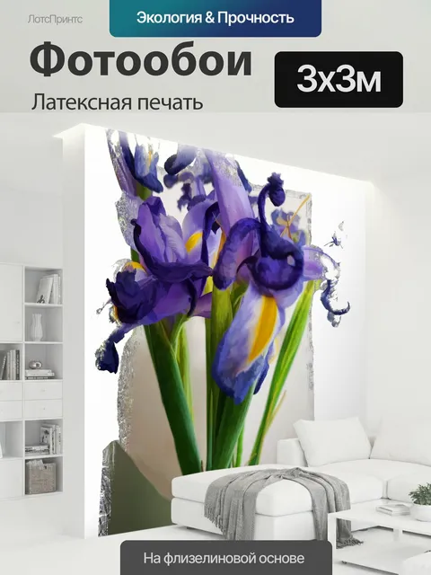 300 × 300 см · Латексная печать