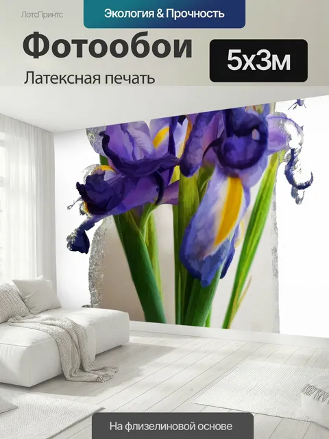 500 × 300 см · Латексная печать