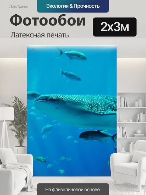 200 × 300 см · Латексная печать