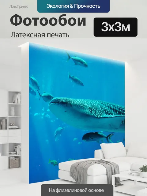 300 × 300 см · Латексная печать