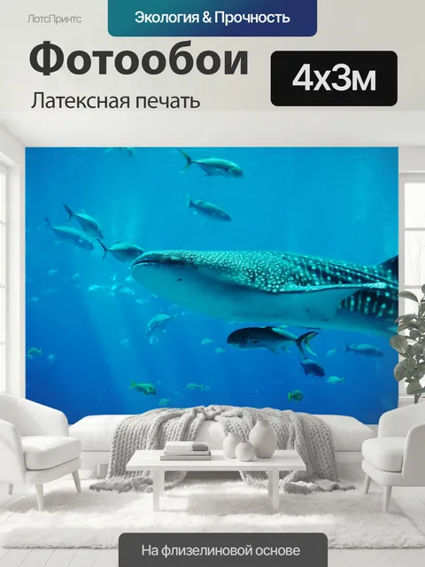 400 × 300 см · Латексная печать
