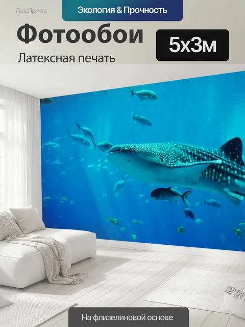 500 × 300 см · Латексная печать
