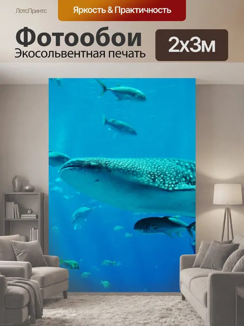 200 × 300 см · Экосольвентная печать