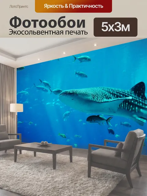 500 × 300 см · Экосольвентная печать