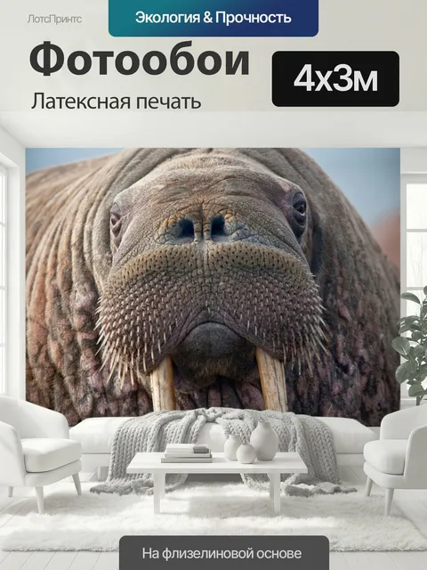 400 × 300 см · Латексная печать