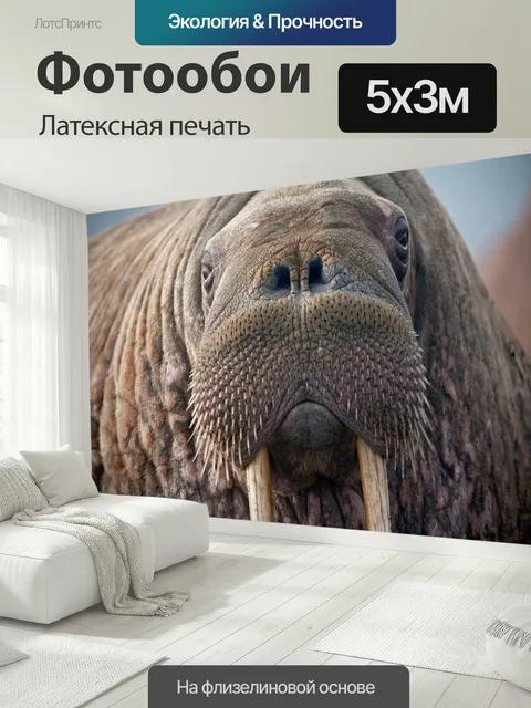 500 × 300 см · Латексная печать