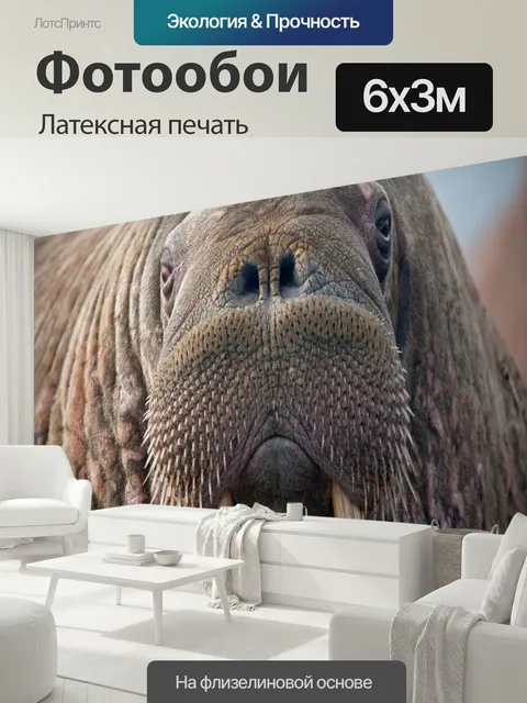 600 × 300 см · Латексная печать