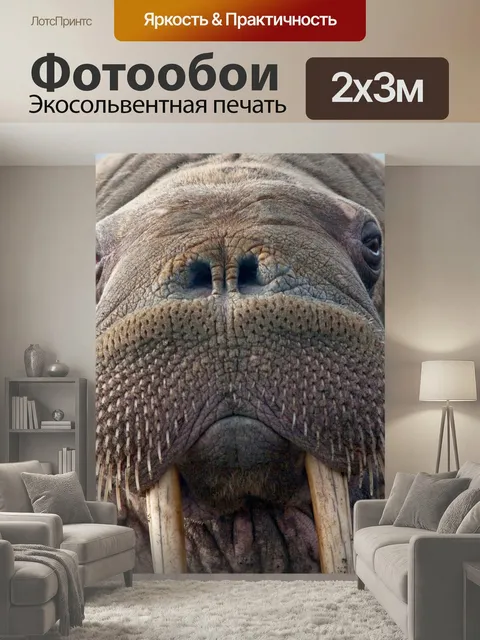 200 × 300 см · Экосольвентная печать