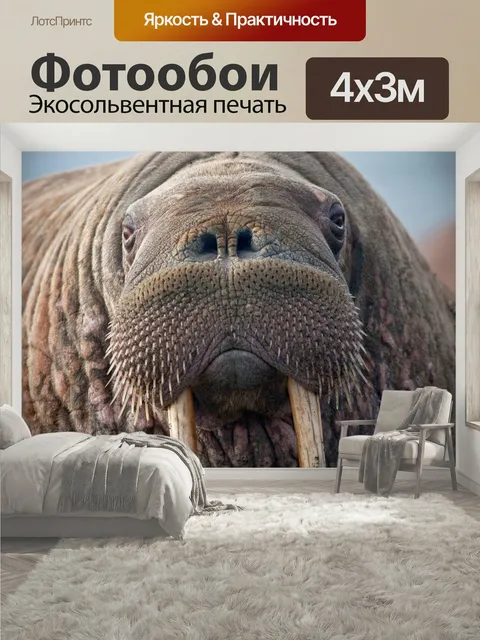 400 × 300 см · Экосольвентная печать