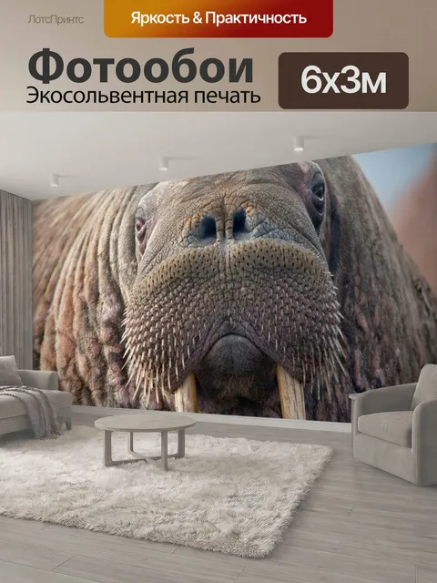 600 × 300 см · Экосольвентная печать
