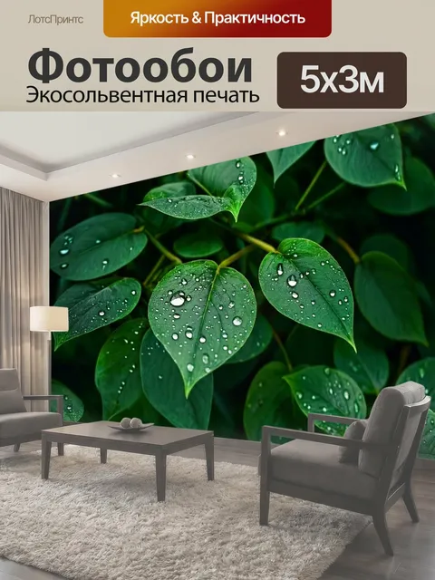 Фотообои Листья темно-зеленого цвета с каплями воды на поверхности