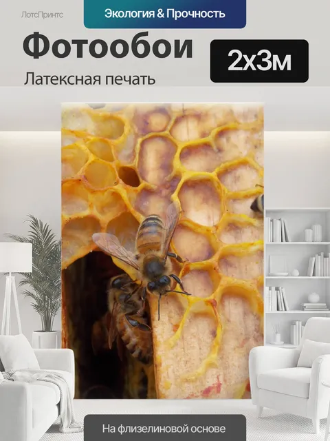 200 × 300 см · Латексная печать