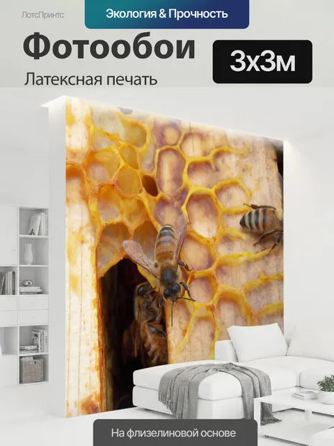 300 × 300 см · Латексная печать