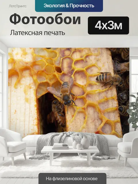 400 × 300 см · Латексная печать
