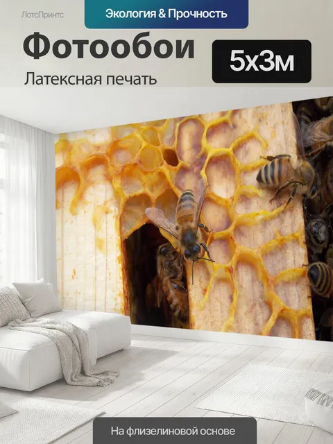 500 × 300 см · Латексная печать
