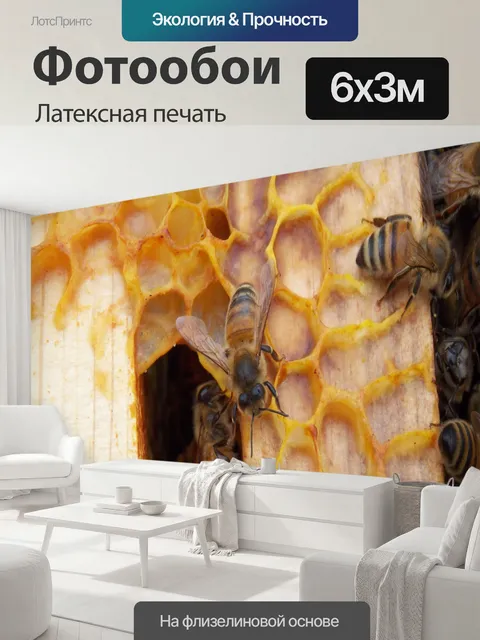 600 × 300 см · Латексная печать