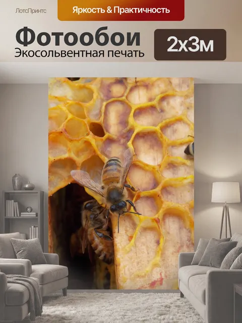 200 × 300 см · Экосольвентная печать