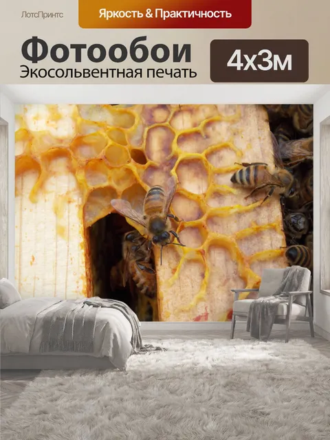 400 × 300 см · Экосольвентная печать