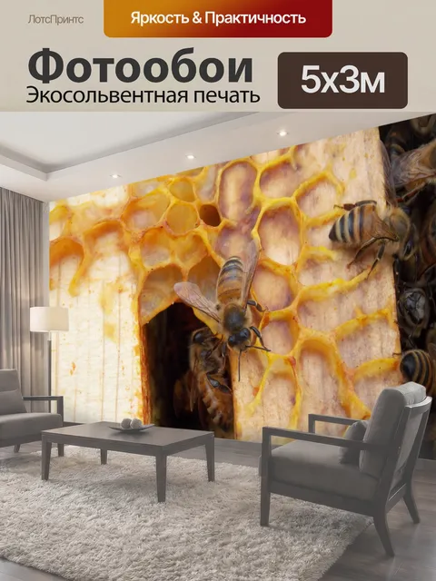 500 × 300 см · Экосольвентная печать