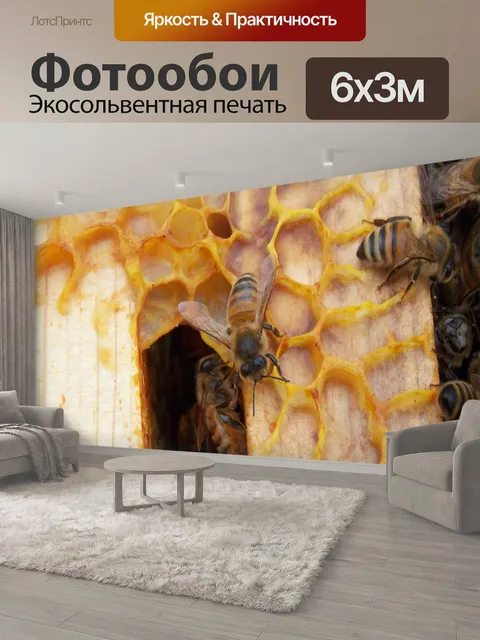 600 × 300 см · Экосольвентная печать