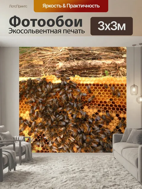 Фотообои Пчелиное окно, пчеловод, выводок