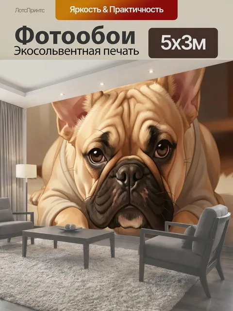 Фотообои Французский бульдог крупным планом