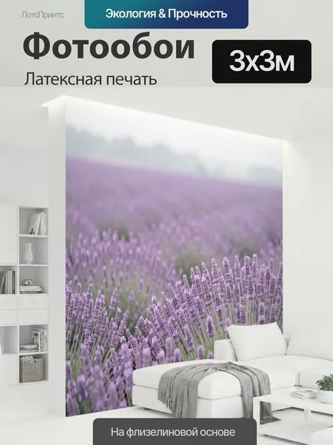 300 × 300 см · Латексная печать