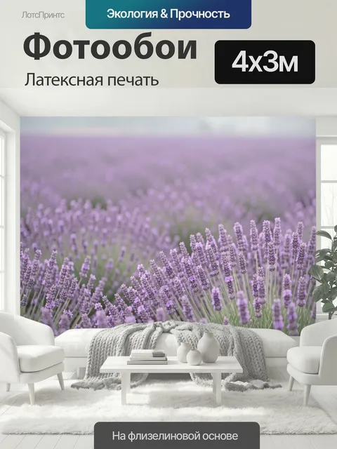 400 × 300 см · Латексная печать