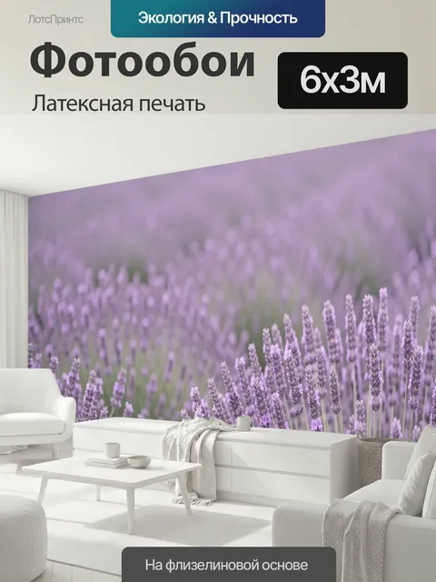 600 × 300 см · Латексная печать