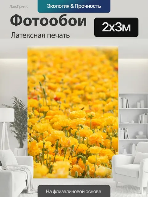 200 × 300 см · Латексная печать
