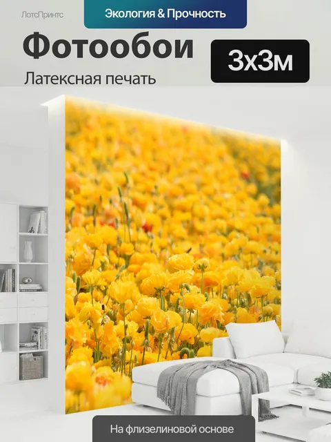 300 × 300 см · Латексная печать