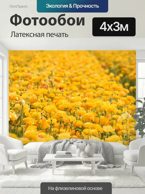 400 × 300 см · Латексная печать