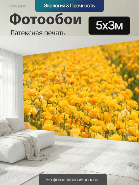 500 × 300 см · Латексная печать