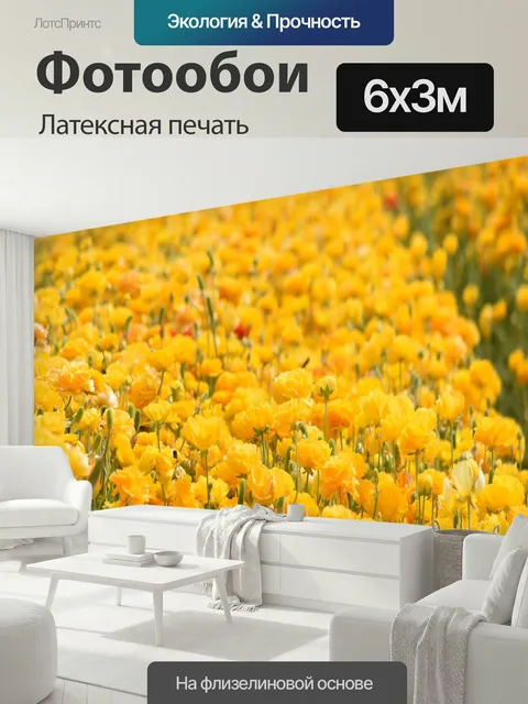 600 × 300 см · Латексная печать