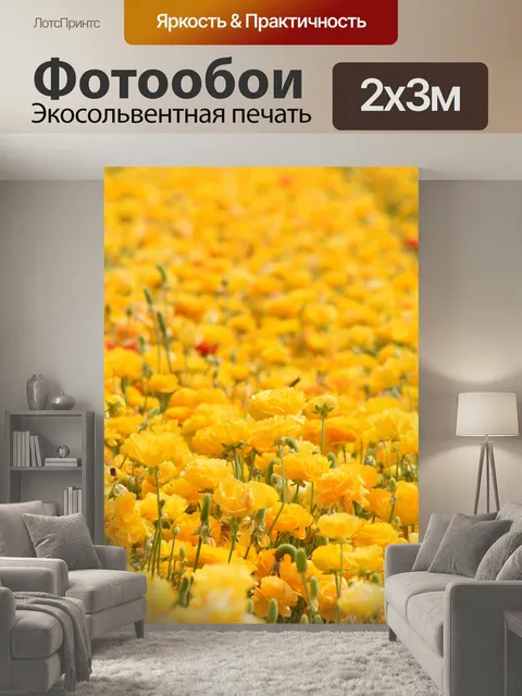 200 × 300 см · Экосольвентная печать