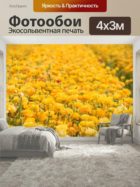 400 × 300 см · Экосольвентная печать
