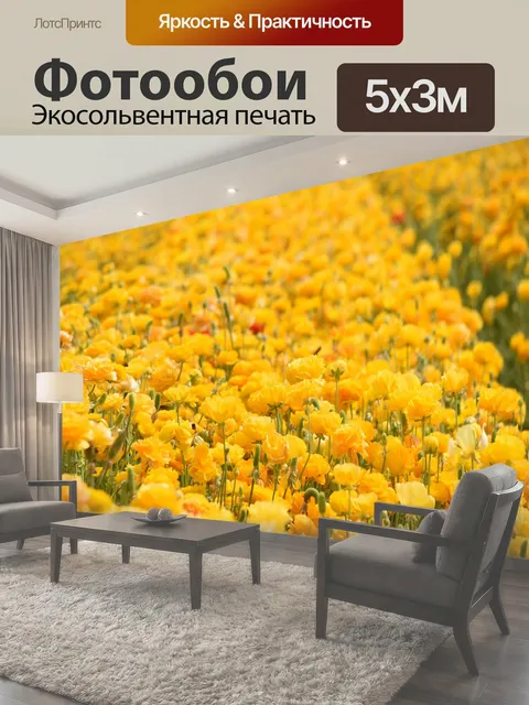 Фотообои Поле желтых цветов лютика ярко-желтые цветы выращивание