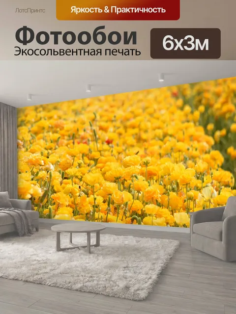 600 × 300 см · Экосольвентная печать