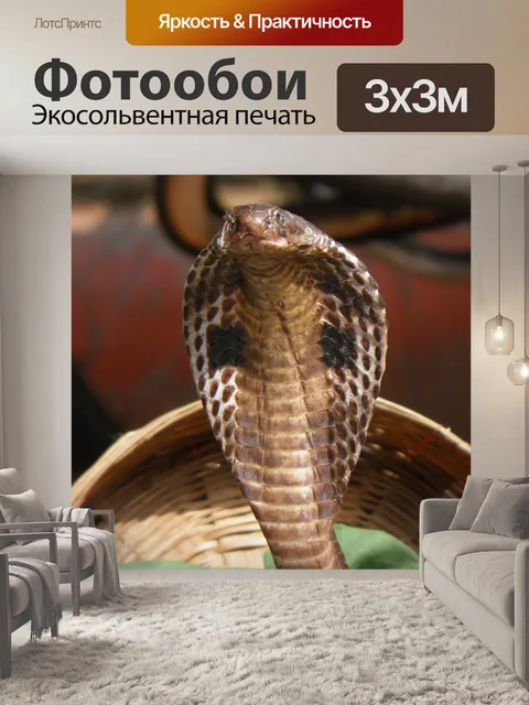 Фотообои Индия, змея, кобра