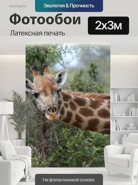 200 × 300 см · Латексная печать