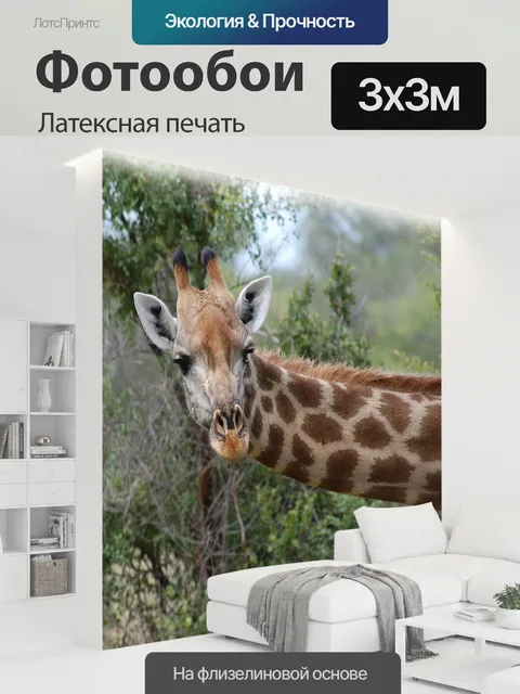 300 × 300 см · Латексная печать