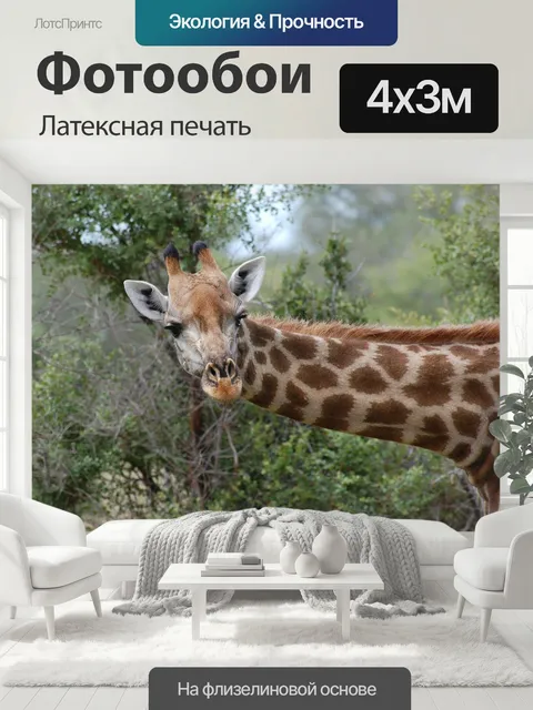 400 × 300 см · Латексная печать